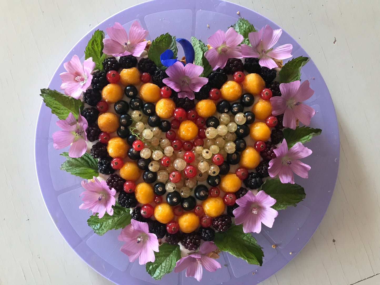 Taste of Love 🌸 Bio-Gourmet-Küche 🌱🥗 SURA ∞ SOLARIS