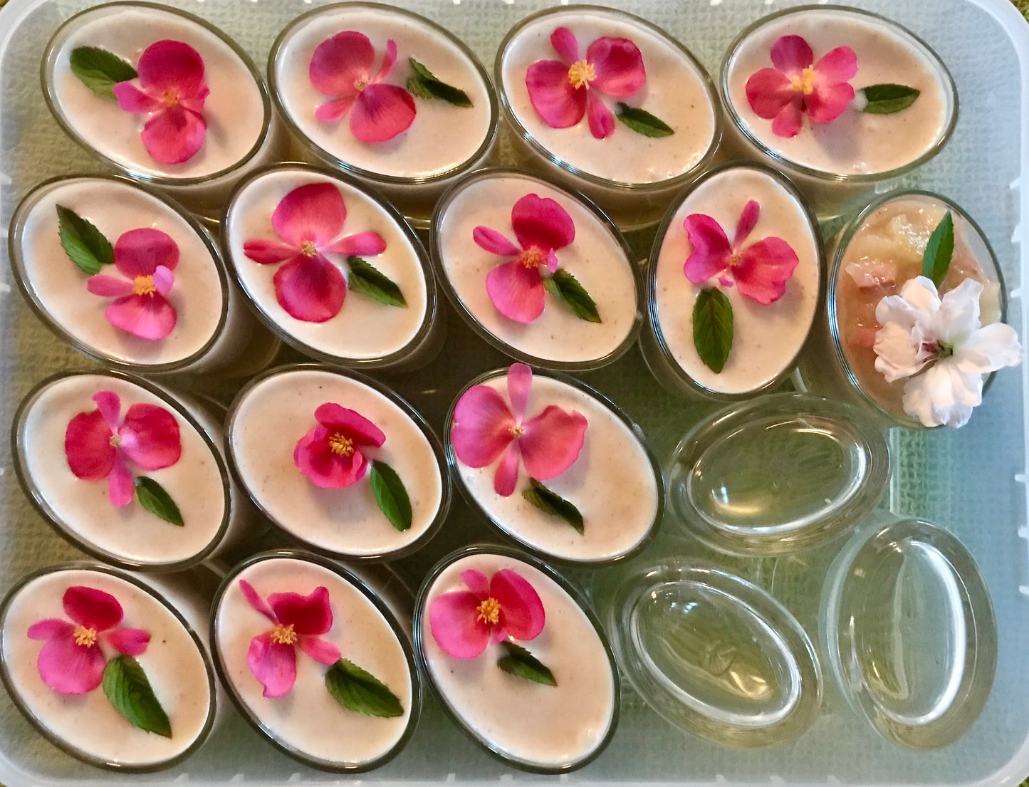 Taste of Love 🌸 Bio-Gourmet-Küche 🌱🥗 SURA ∞ SOLARIS
