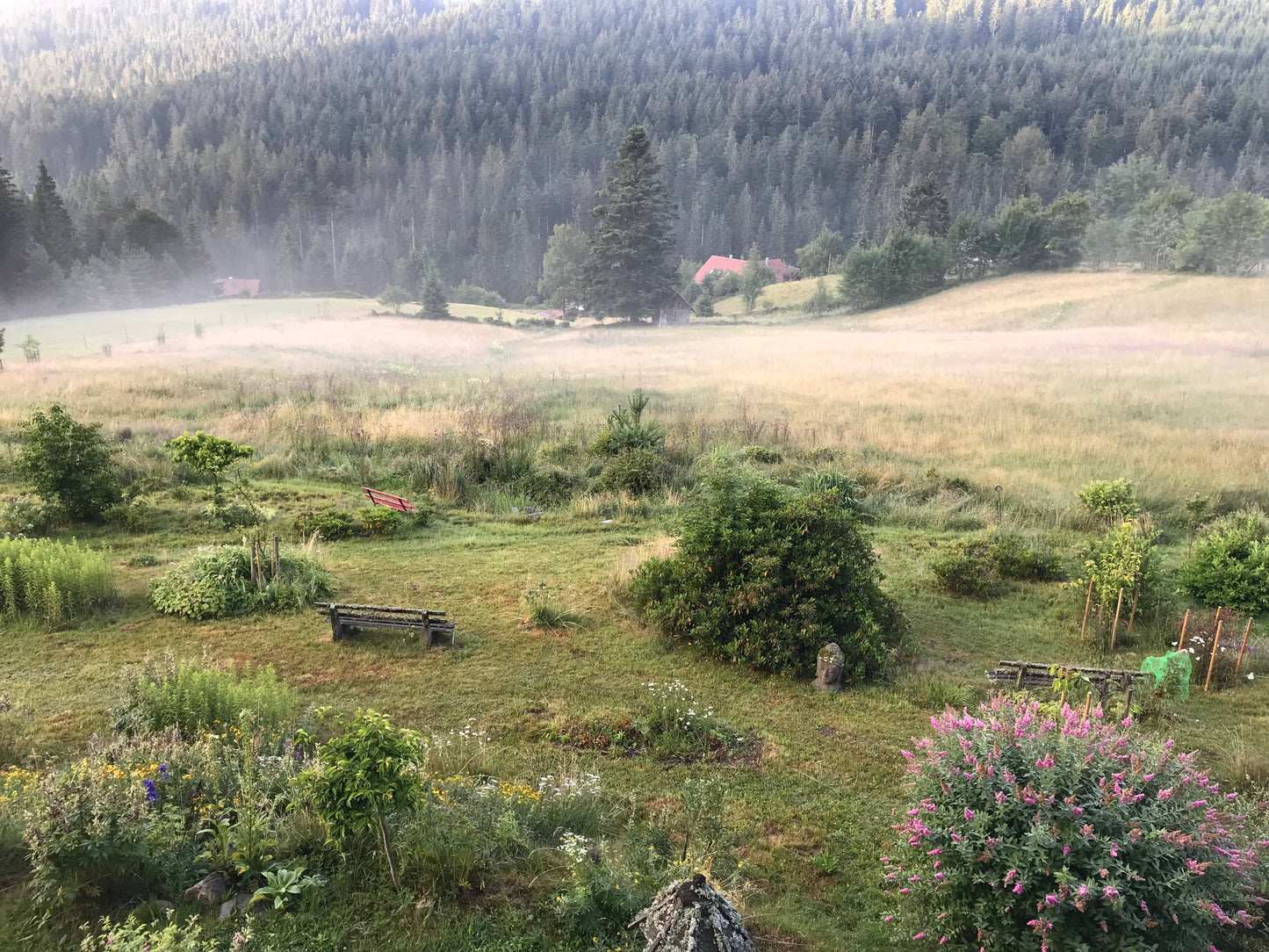 ChatGPT mit Herz 💞 – Seminar 1 / Juni 2025